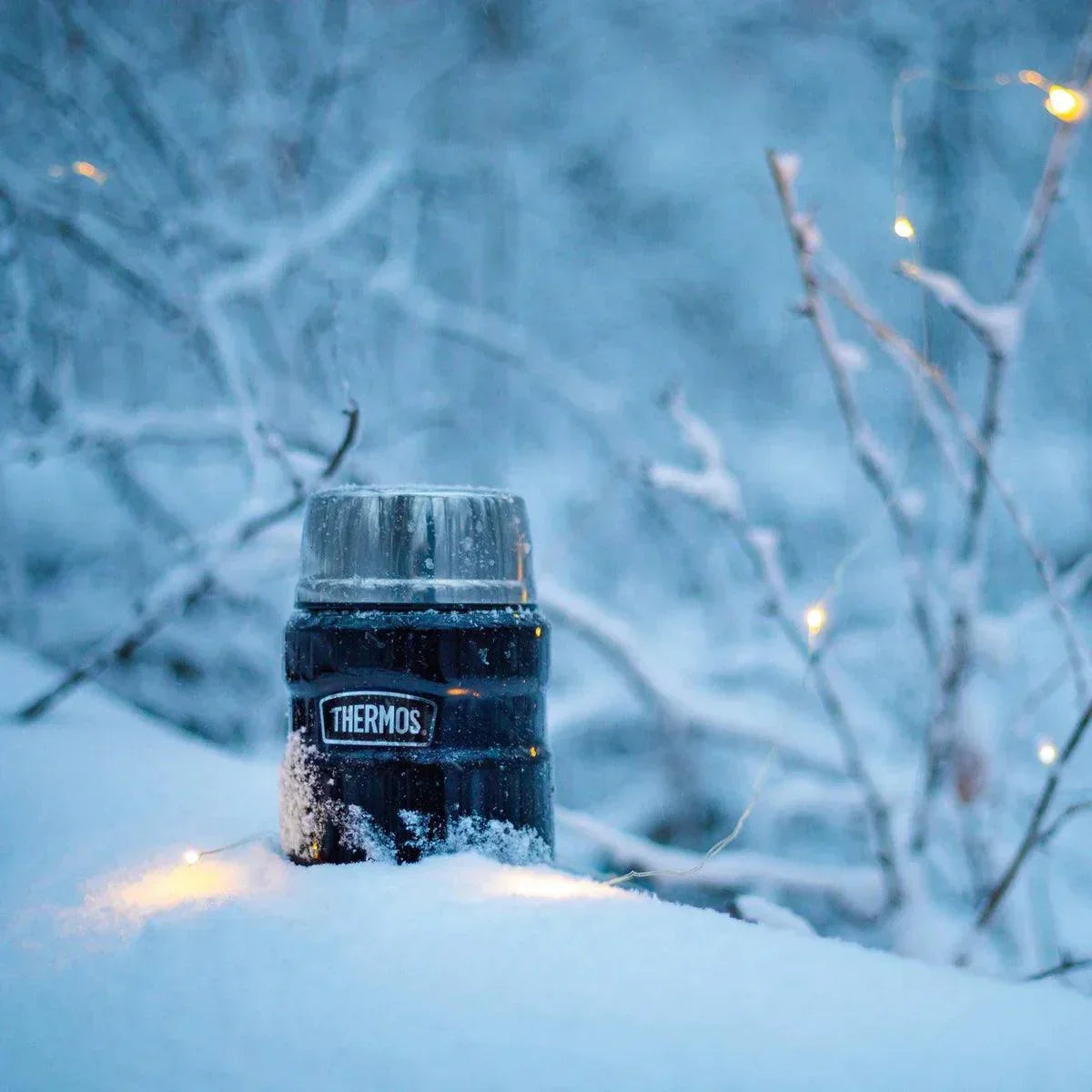 Thermos Stainless King Çelik Yemek Termosu - Kaşıklı 470ml